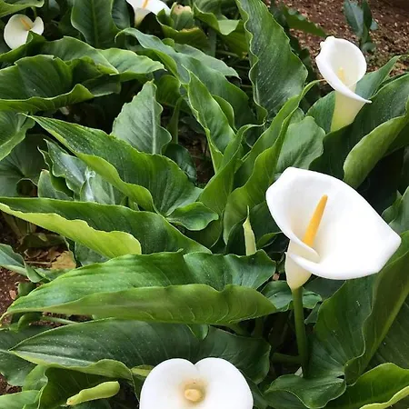 Apartmán With Parking Space - 19577 *