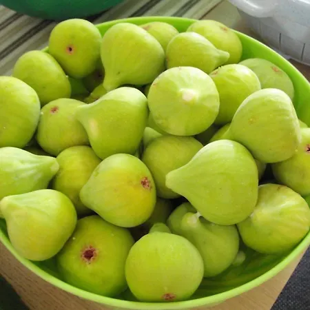 Apartamento With Parking Space - 19577