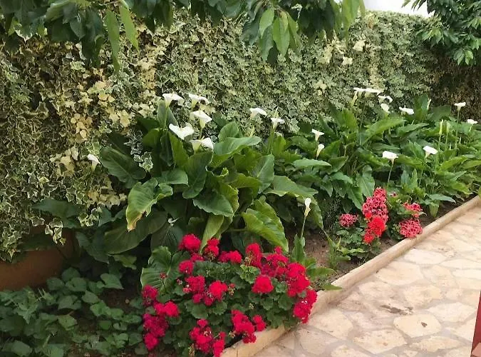 With Parking Space - 19577 *