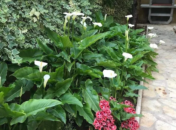 With Parking Space - 19577 Appartamento *