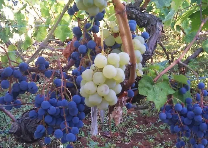 With Parking Space - 19577 Appartamento *