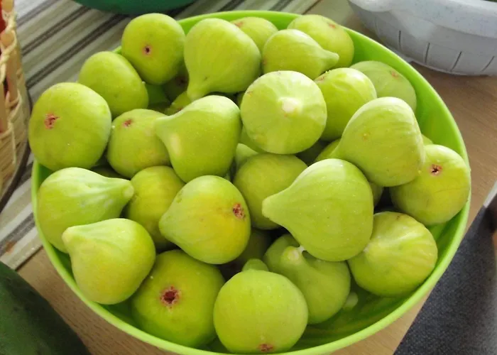 Appartamento With Parking Space - 19577